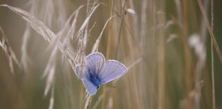 Co to znaczy duża łyżka?