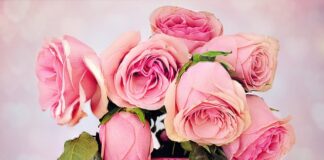 Czym się różni łyżeczka do kawy od łyżeczki do herbaty?