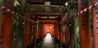 Kto jest na końcu łańcucha pokarmowego?