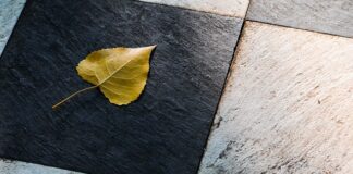 Co w przedpokoju płytki czy panele? Co w przedpokoju płytki czy panele?